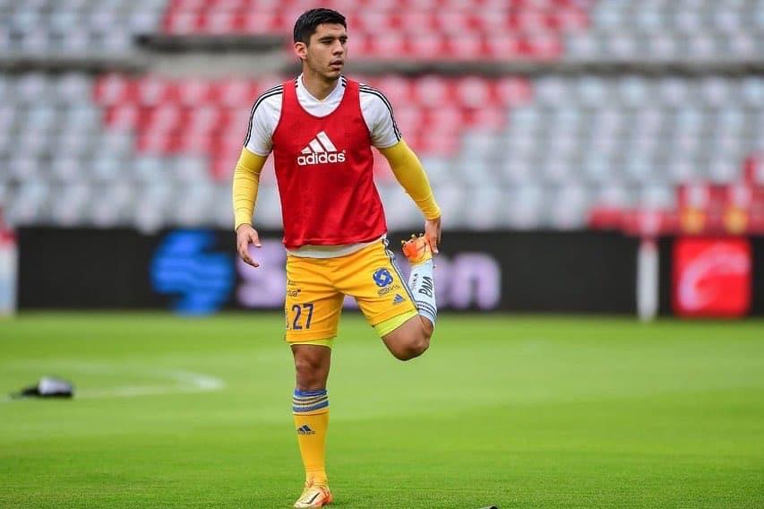 Tigres... ¿En órbita?