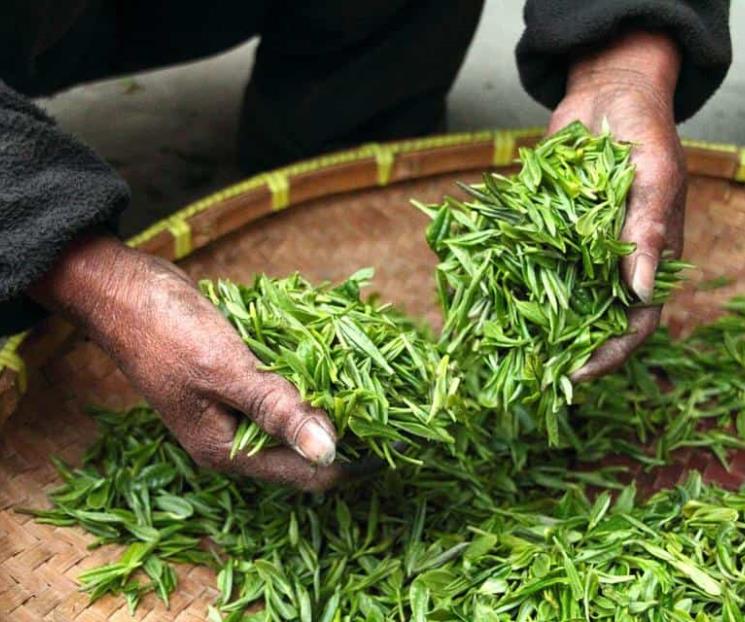 Lanzan S.O.S ante crisis global de alimentos