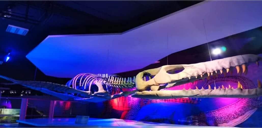 Museos de Puebla un viaje soñado