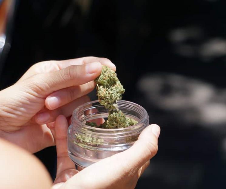 Abre puerta ciudad Oaxaca al consumo recreativo de marihuana