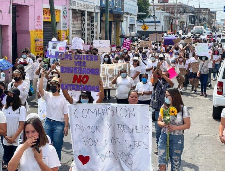 Van 31 mujeres asesinadas en Morelos este año Van 31 mujeres asesinadas en Morelos este año