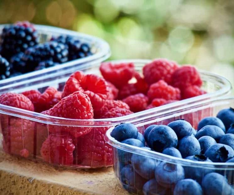 Frutos rojos desplazan cerveza como producto de exportación