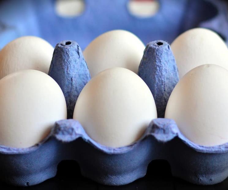 ¿Cómo cuidarse de la infección por salmonella?