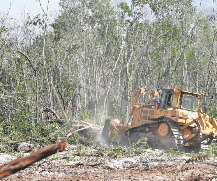 AMLO acusa campaña política contra el Tren Maya