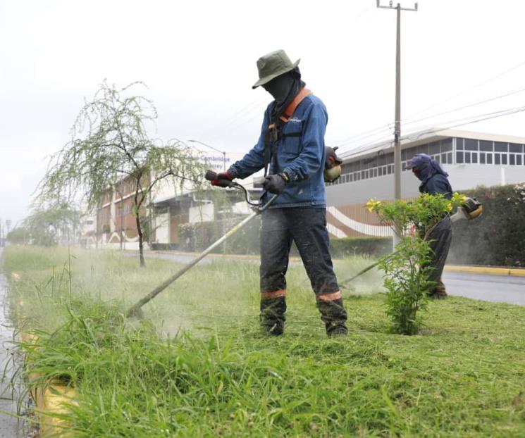 Dan mantenimiento a camellones en Escobedo