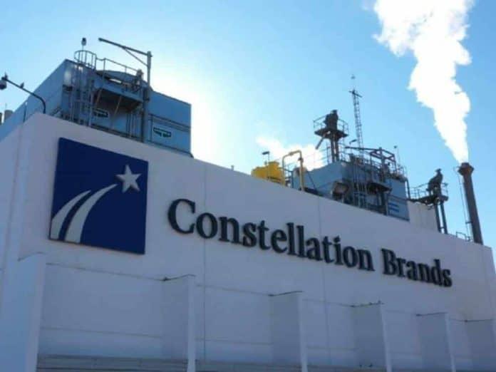 Constellation Brands tendrá inversión de mil 300 mdd
