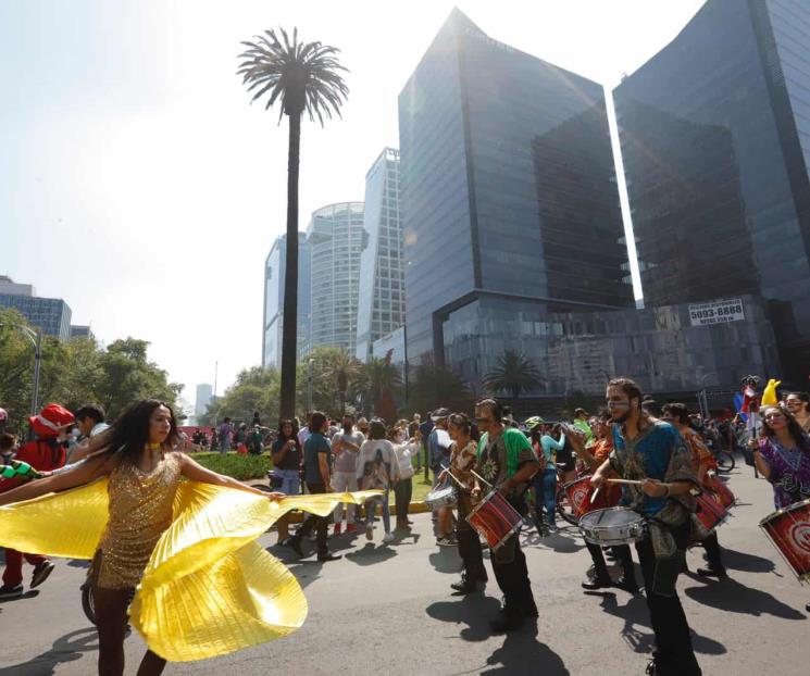 Glorieta de la Palma tendrá un nuevo ejemplar: Marina Robles