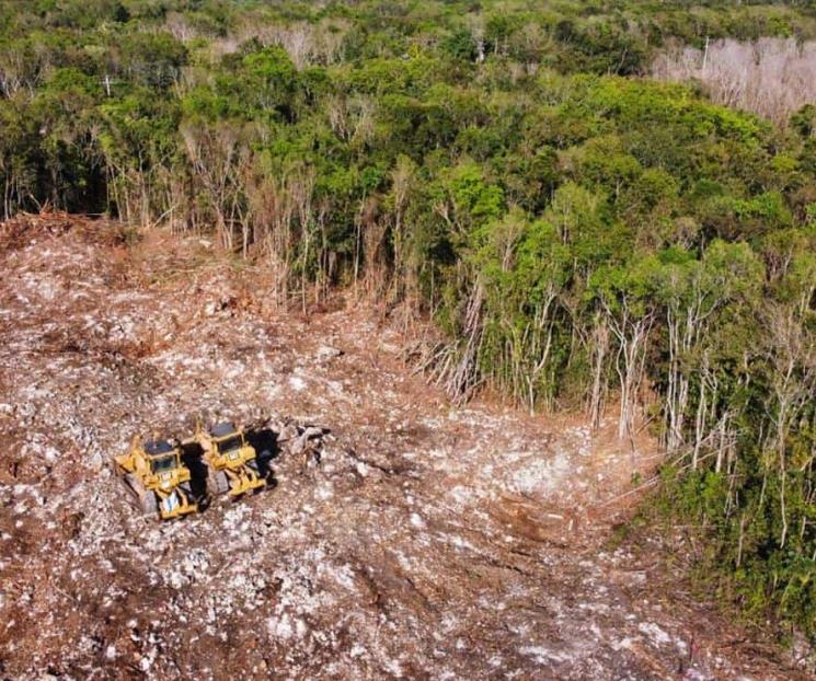 Frenar obras del Tren Maya es dejar sin trabajo a 105 mil