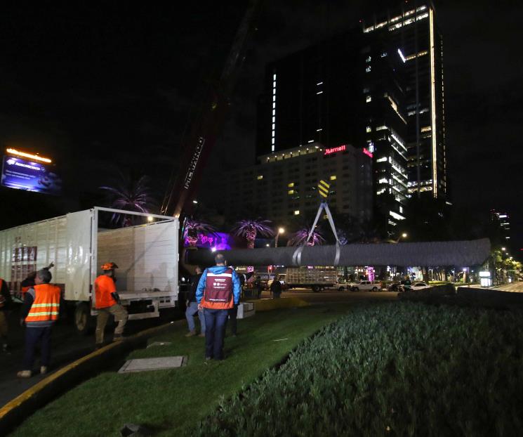 Así despidieron a la Palma de Reforma