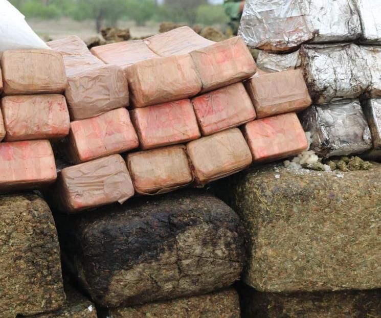 Incineran 12 toneladas de droga