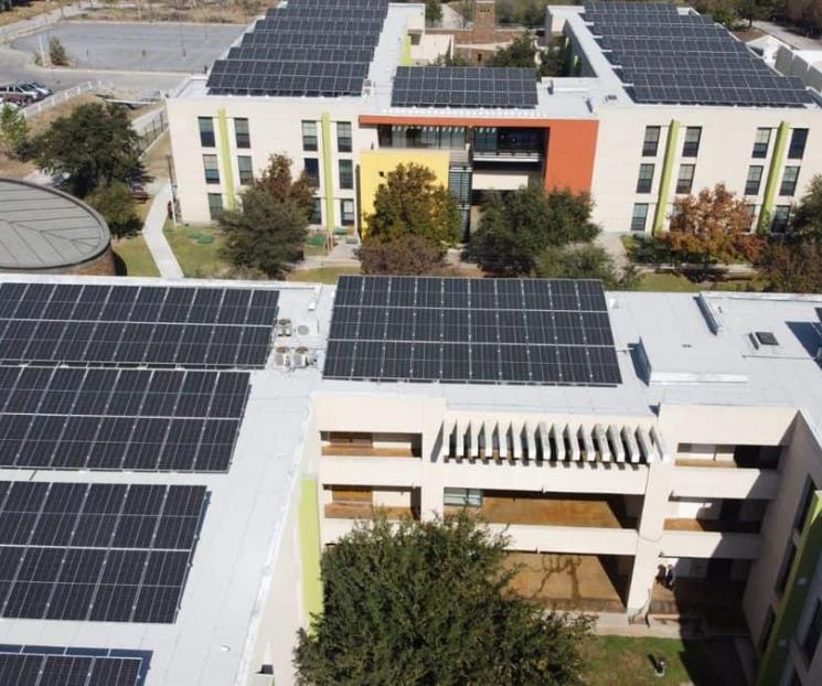 Trabajan sampetrinos en mejoras ambientales