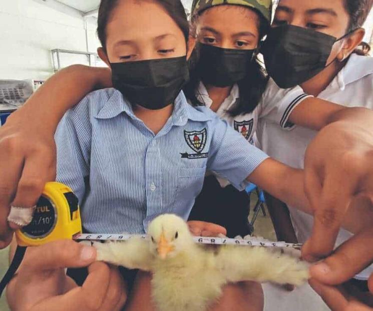 Rompen modelo tradicional para cultivar interés por ciencia