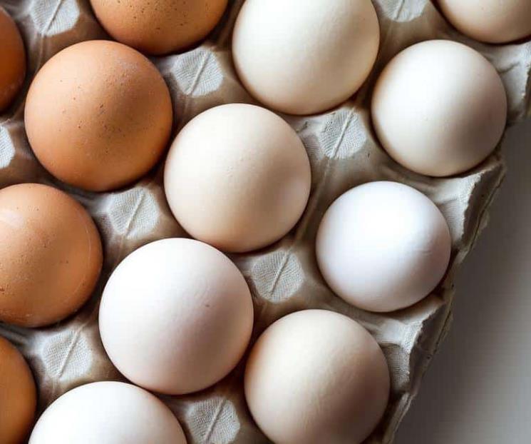 Pollo, huevo y leche, beneficiados con plan de AMLO