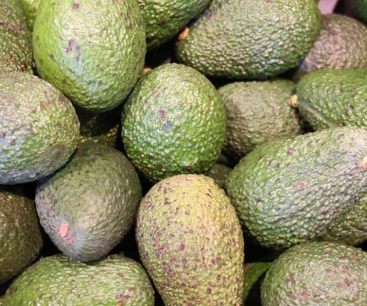 Aguacate llega a 150 pesos el kilo; limón a la baja
