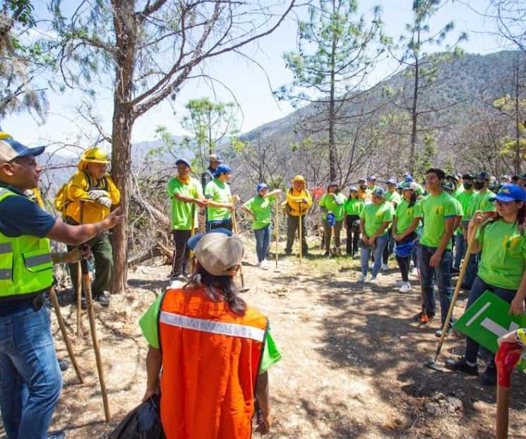 Unen esfuerzos para restaurar bosque escuela