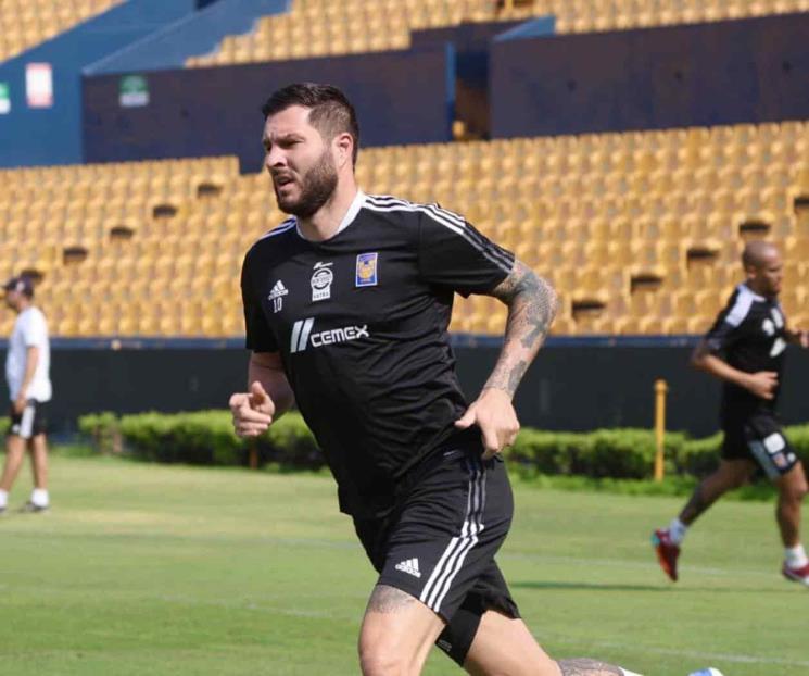 Volvería Gignac con Tigres el fin de semana