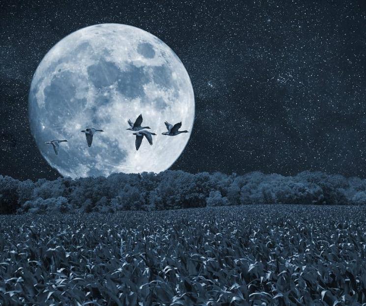 Cuándo es la luna de flores de mayo