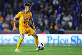 Es Igor Lichnovsky novedad en interescuadras de Tigres