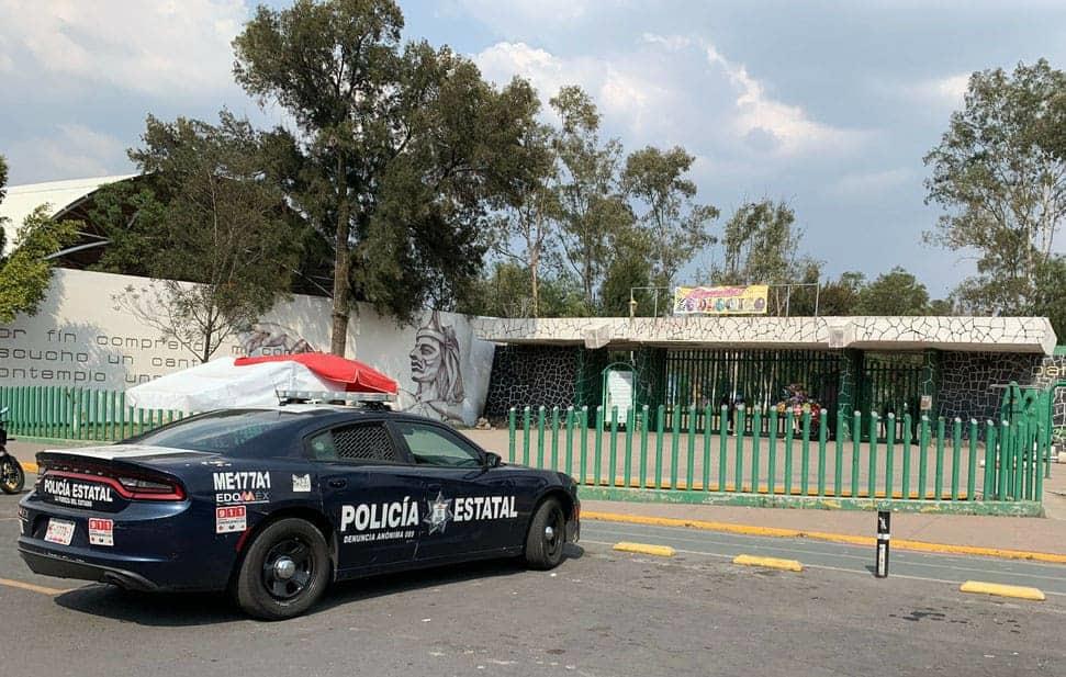 Muerde lobo a un niño en zoológico de Neza