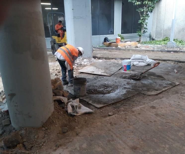 Cambian jardinera por acceso a estacionamiento