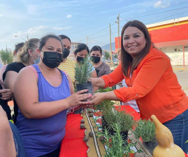 Invita GLMC a la conservación y preservación de árboles