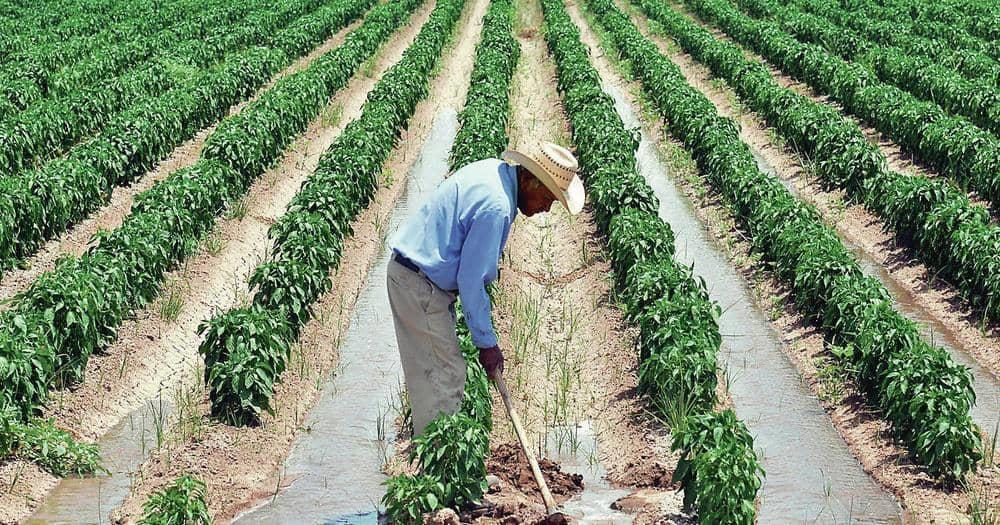 No se aprobaría ley que cobraría préstamos del salario