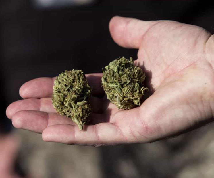 Elimina Corte límite de 5 gramos de marihuana