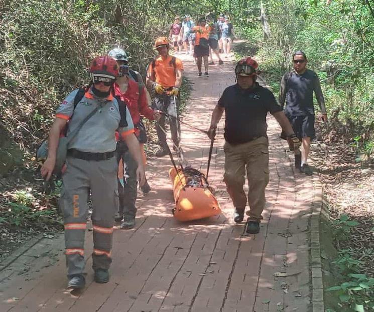 Trata de tomar foto en árbol y se lesiona en la Estanzuela