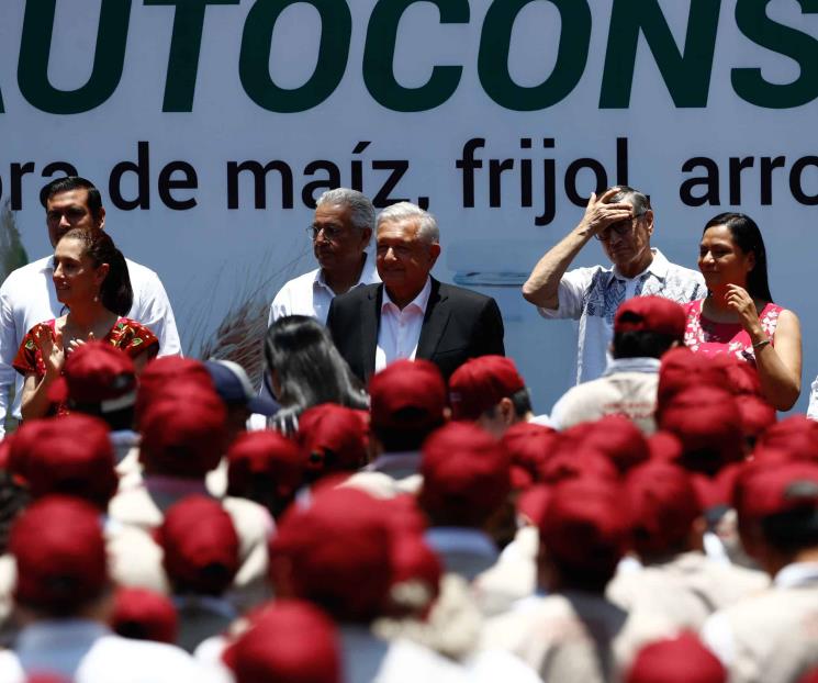Plantea AMLO reorientar ‘Sembrando Vida’ a básicos