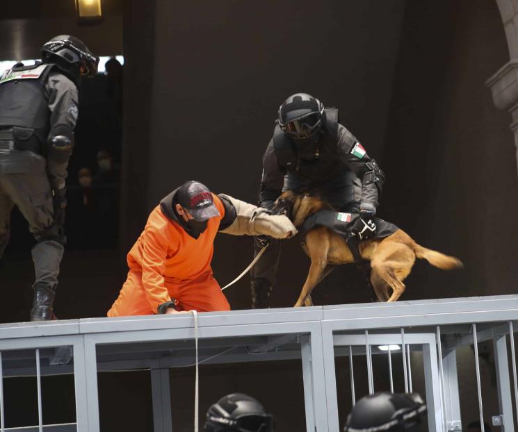 Dona EU 11 perros para penales mexiquenses