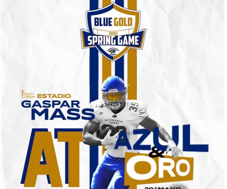 Tendrá Auténticos Tigres partido de Azul y Oro