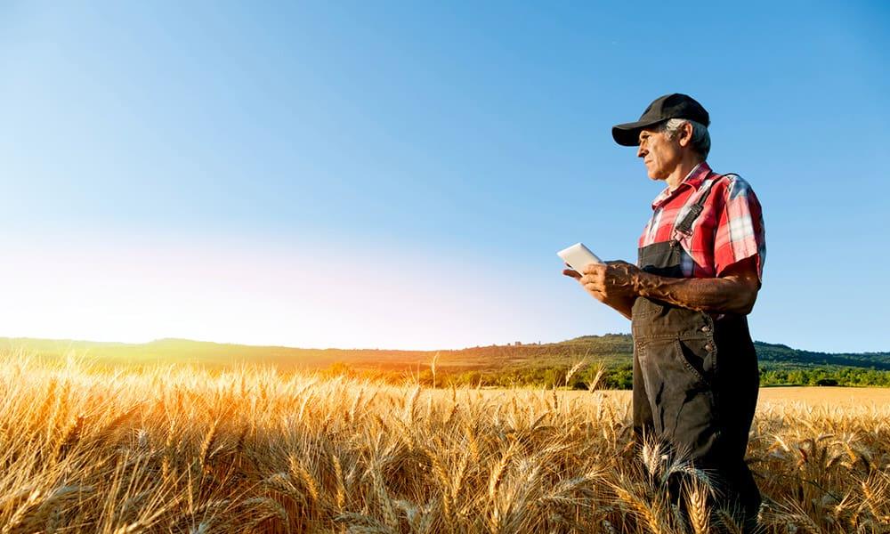 Costa Food Group crece con HPE SimpliVity y apoyo de SEMIC