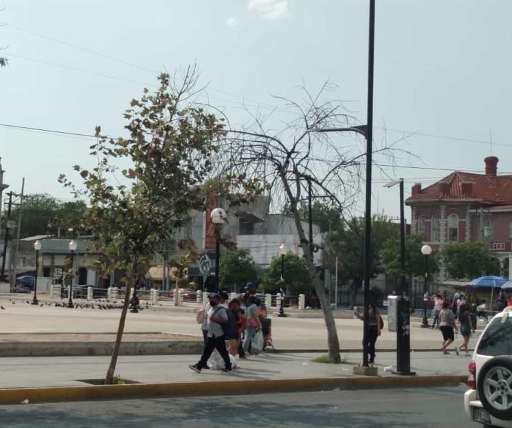 Olvidan proyecto ecológico en Monterrey