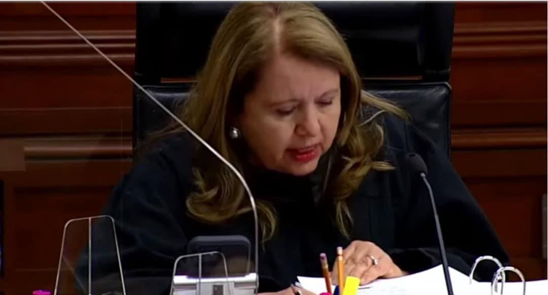 Ministra define constitucionalidad de los superdelegados