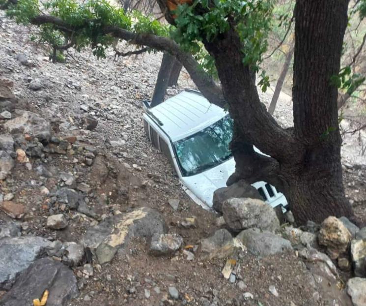 Atrapa y mata chubasco a conductora