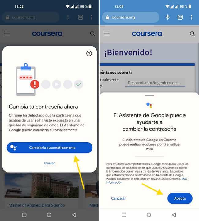 Asistente de Google ya puede cambiar contraseñas vulneradas