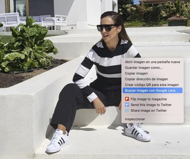 Google Lens al fin se integra en el buscador de Google.