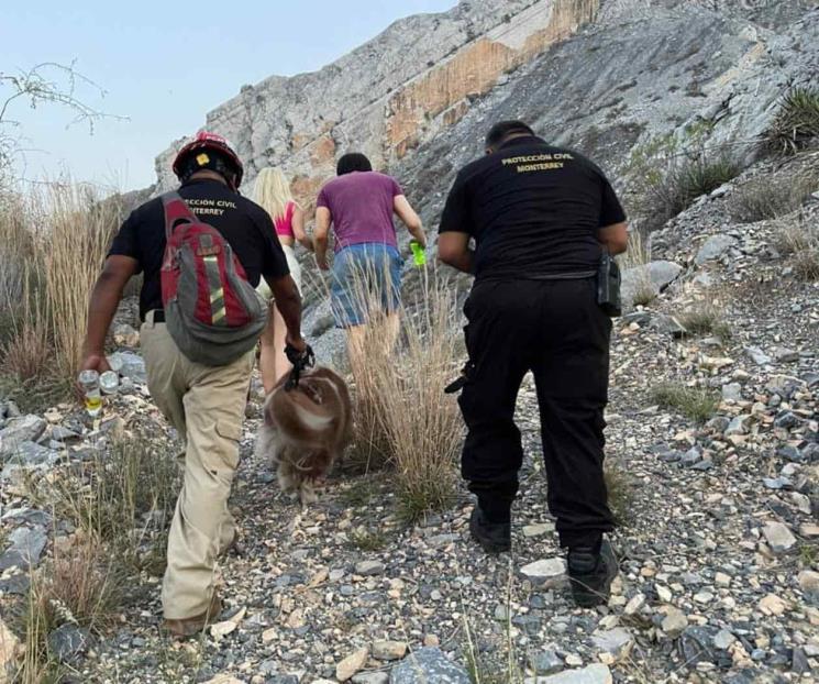 Auxilian a joven y su mascota