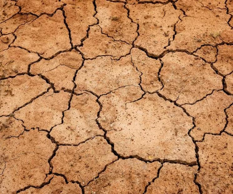 Se encomiendan a san Isidro por sequía en Tamaulipas