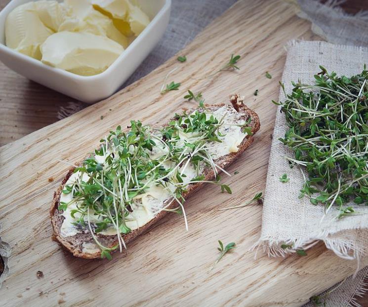 Conoce los beneficios de comer berro