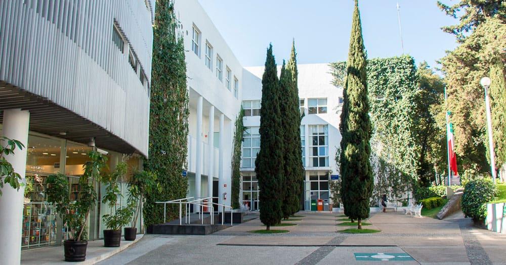 Comunidad de CIDE avergonzada por plagio de Romero Tellaeche