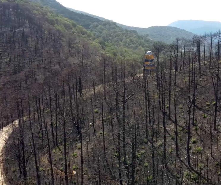 Trabajan unidos en la reforestación del Bosque Escuela
