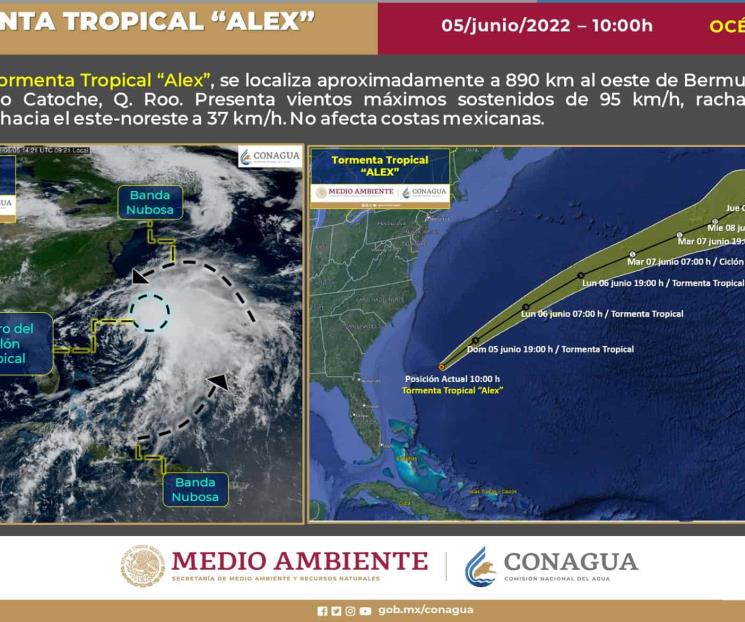 Tormenta tropical Alex se intensifica frente a Yucatán Tormenta tropical Alex se intensifica frente a Yucatán