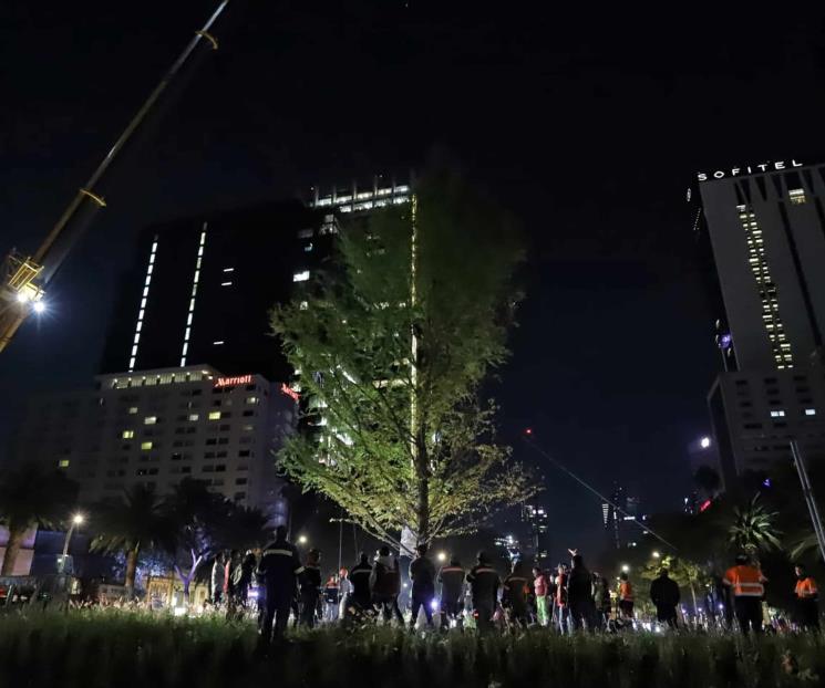 Ahuehuete, árbol nacional y ofrenda en tiempos prehispánicos