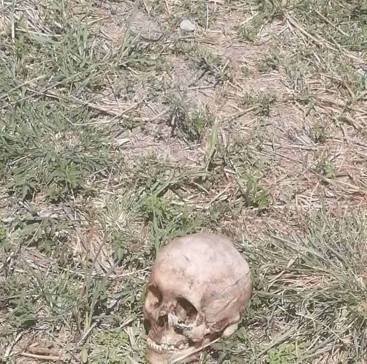 Investigan los restos humanos localizados en un camino vecinal en Cadereyta