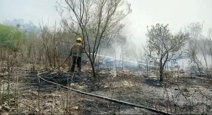 Reporta incendio en un predio baldío en Linares