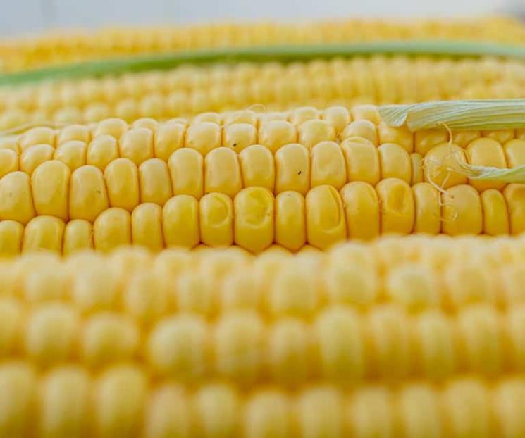 Latente escasez, desabasto de alimentos y bienes industrial