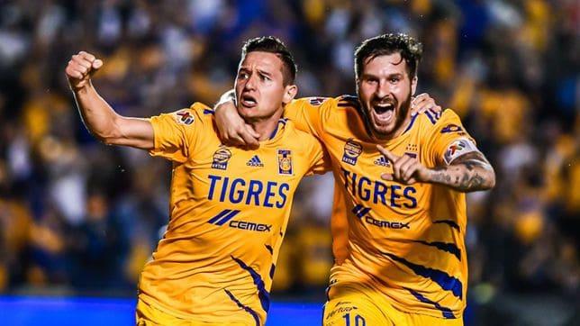 Inician Tigres exámenes físicos y médicos