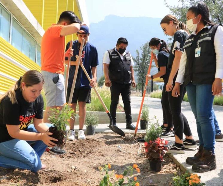 Se convierte Prepa UDEM en refugio de especies polinizadoras