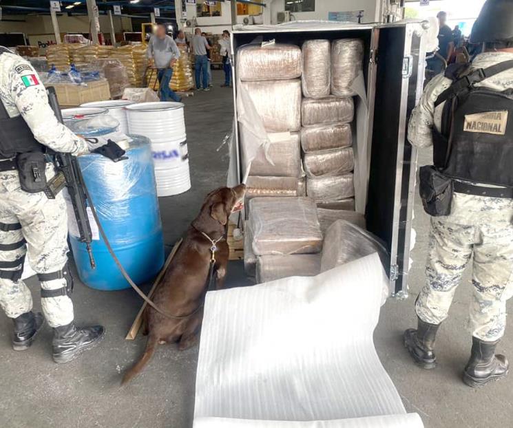 Aseguran 200 kilos de droga en empresa